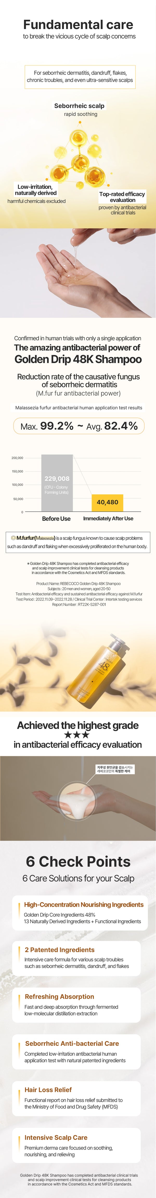 REBECOCO Golden Drip Scalp Set — 48K Shampoo + 64K Tonic